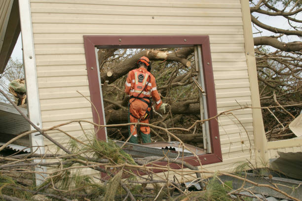 Reliable Lyncourt, NY Tree Services Solutions